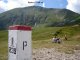 Przełęcz Pyszniańska - Błyszcz - szlak czerwony. Autor: w drodze na Rysy