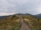 Bukowe Berdo - Przełęcz 1160 m - szlak niebieski. . Autor: Darek